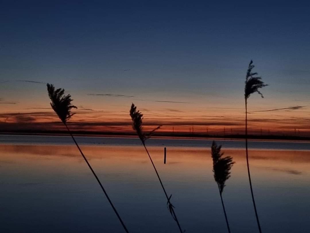 Seeliebe, 300 Meter Zum Wasser, Mit Terrasse Und Garten เลมบรุค ภายนอก รูปภาพ