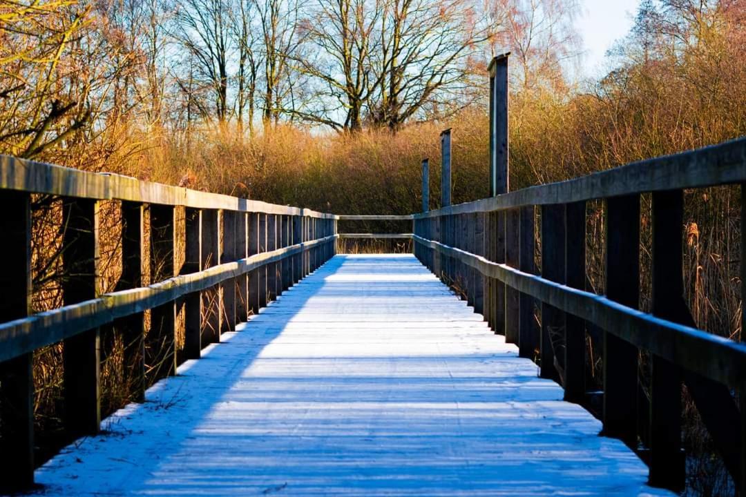 Seeliebe, 300 Meter Zum Wasser, Mit Terrasse Und Garten เลมบรุค ภายนอก รูปภาพ