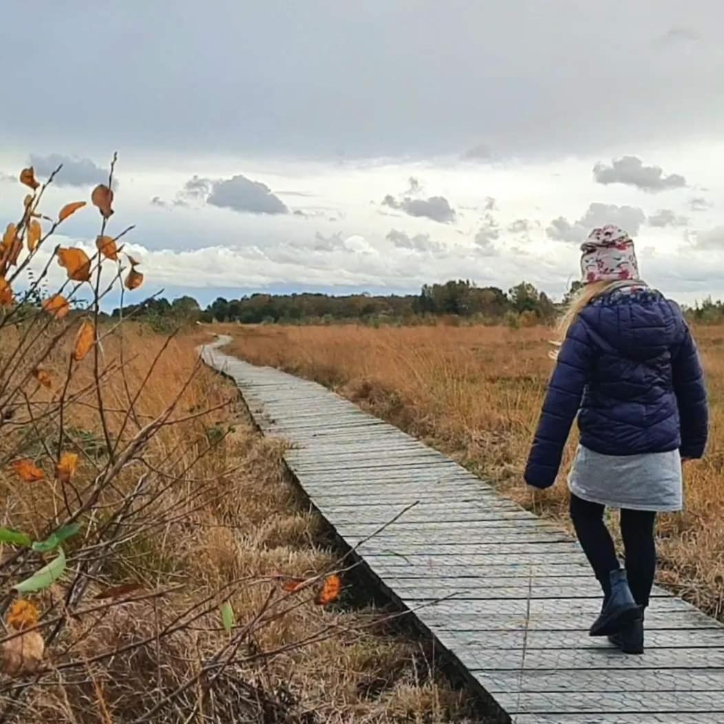 Seeliebe, 300 Meter Zum Wasser, Mit Terrasse Und Garten เลมบรุค ภายนอก รูปภาพ
