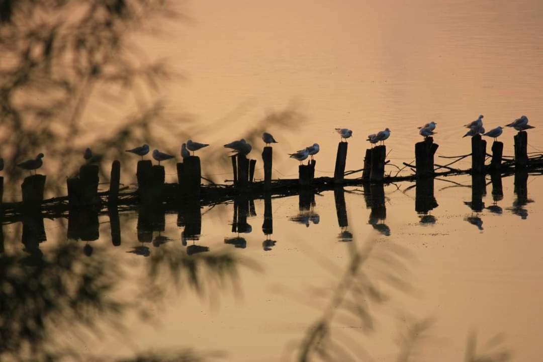 Seeliebe, 300 Meter Zum Wasser, Mit Terrasse Und Garten เลมบรุค ภายนอก รูปภาพ
